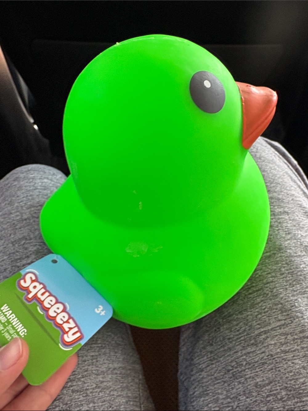 Green Duck Bird Toy with Orange Beak